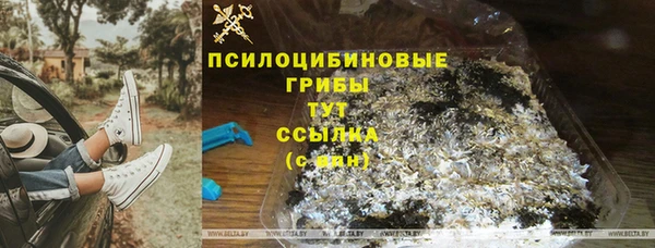 мдпв Иннополис
