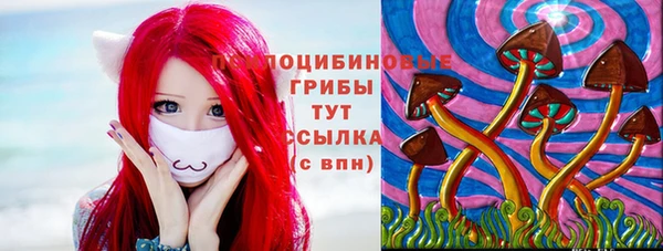 мдпв Иннополис