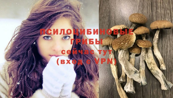 амф Каменногорск
