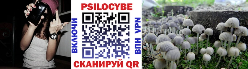 Галлюциногенные грибы Magic Shrooms Заволжье
